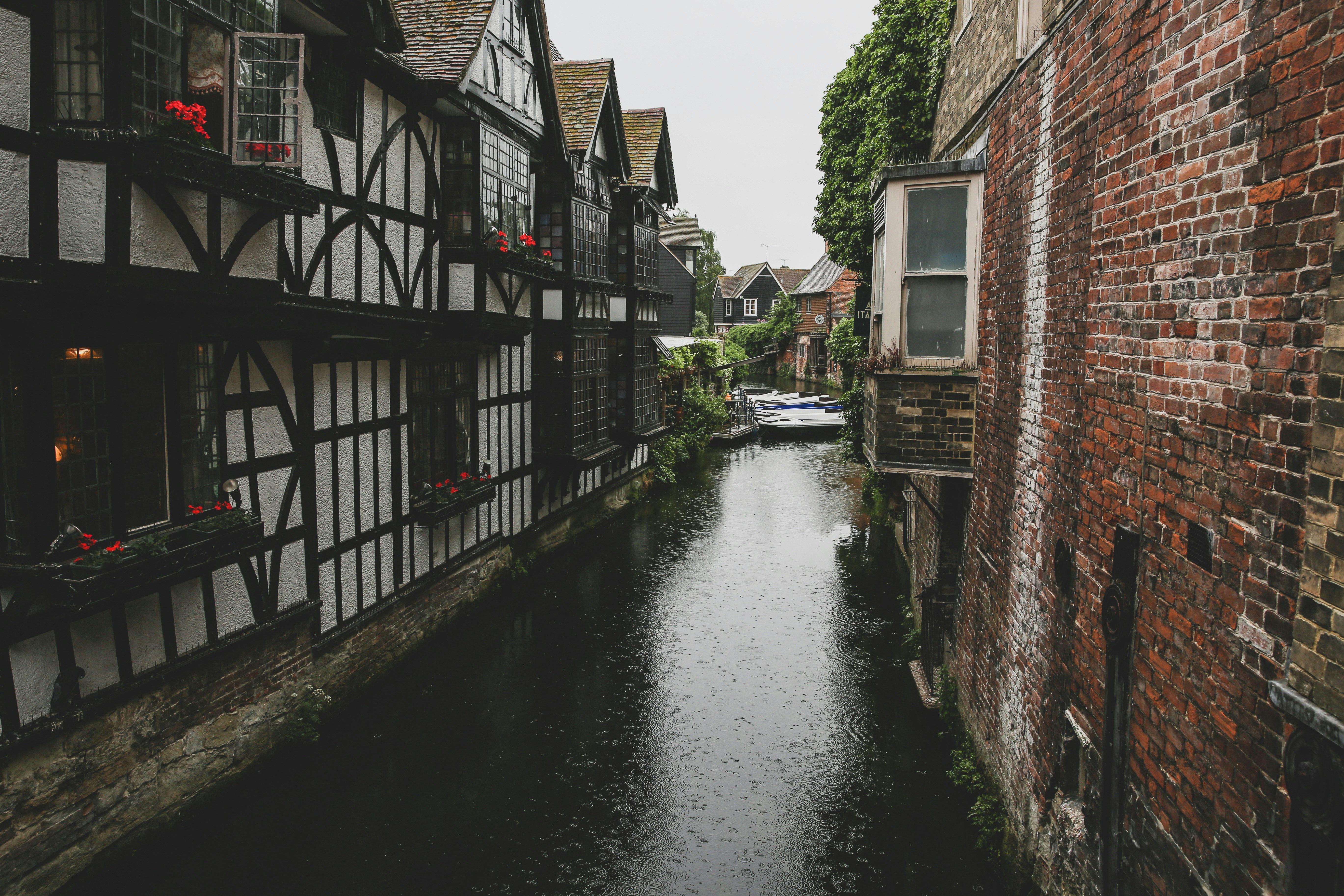 Photo by blackprojection