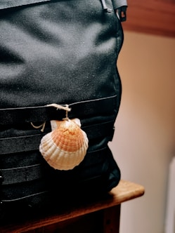 a shell is sitting on top of a black bag