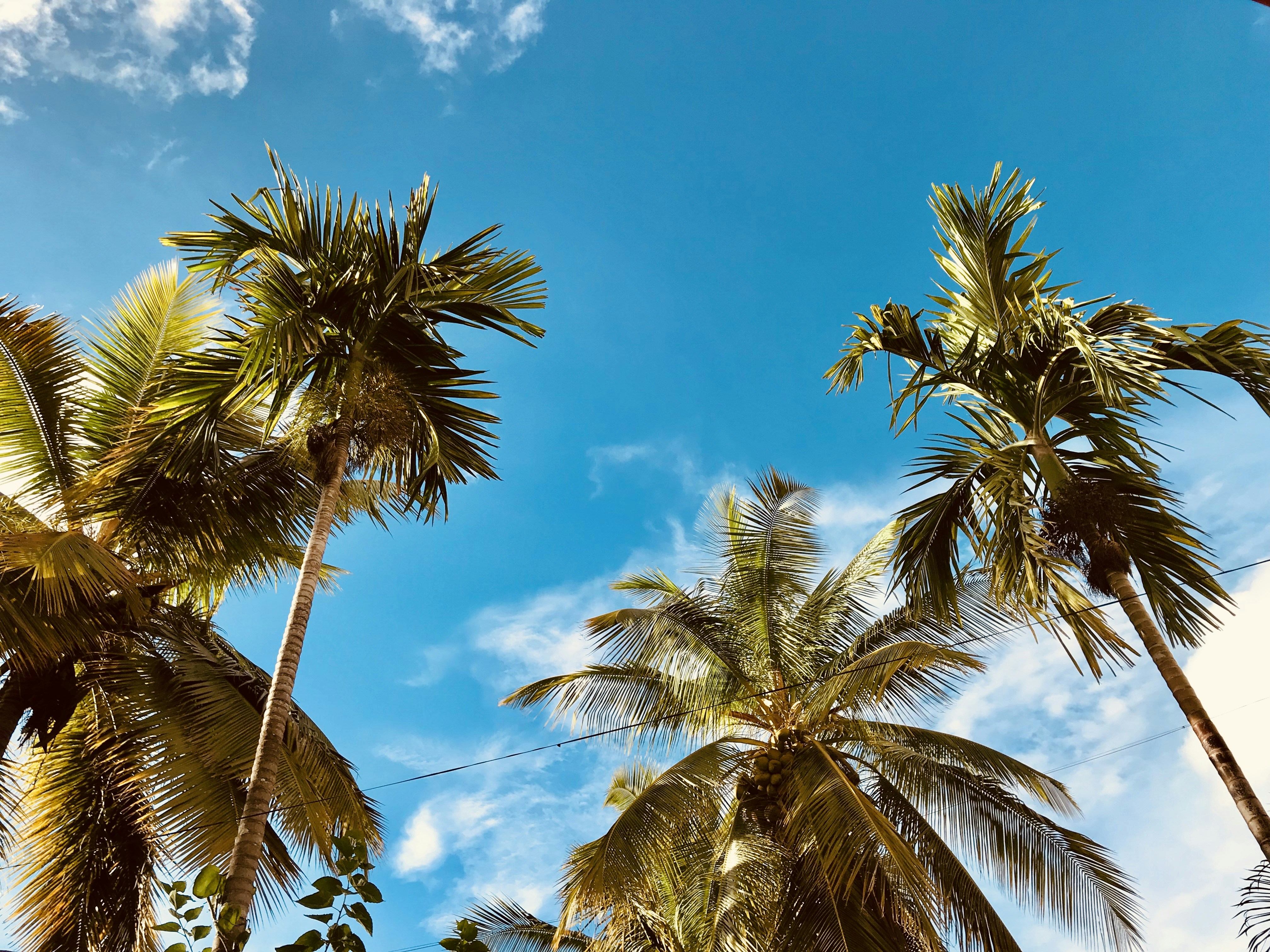 Photo by arptrastogi