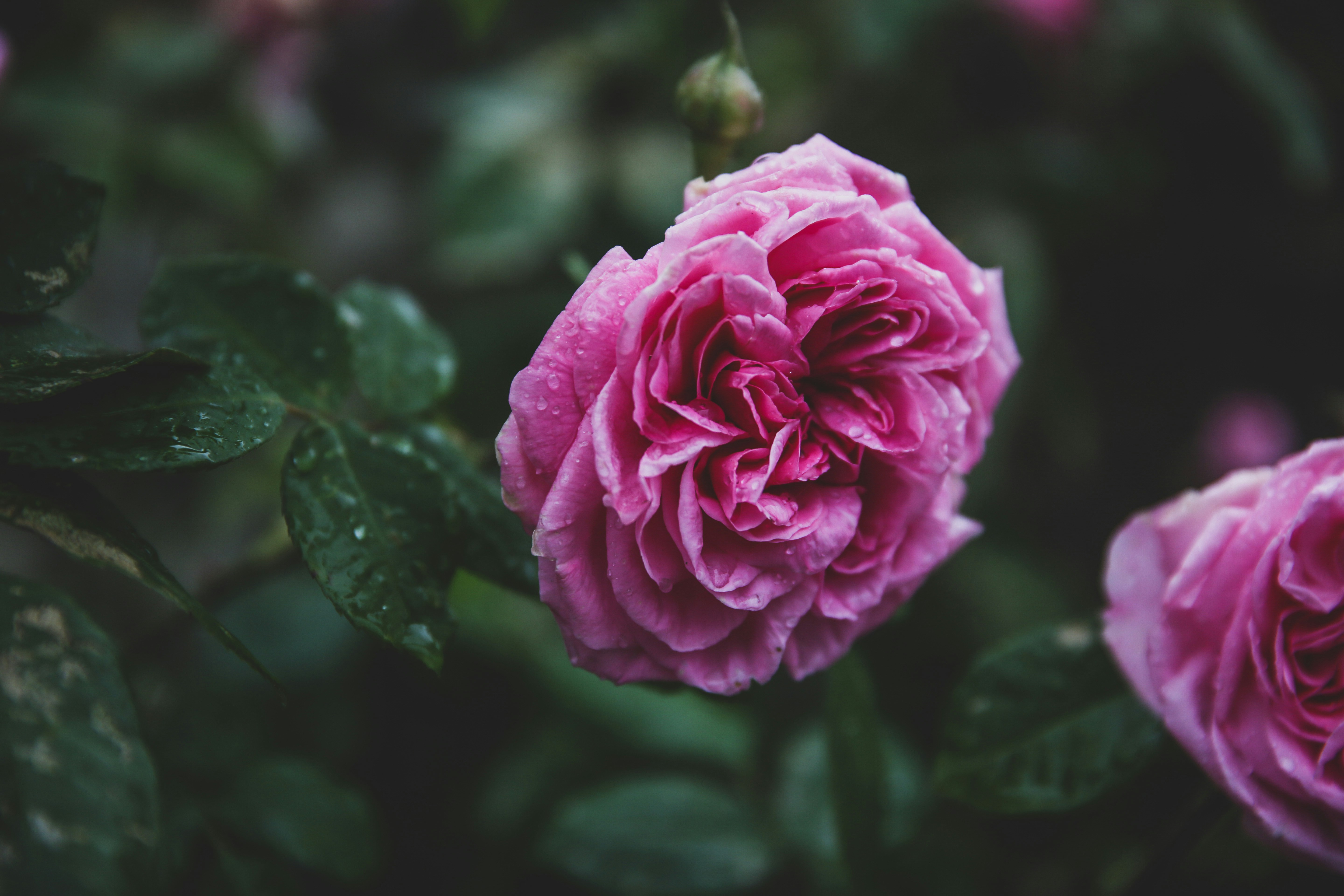 Photo by blackprojection