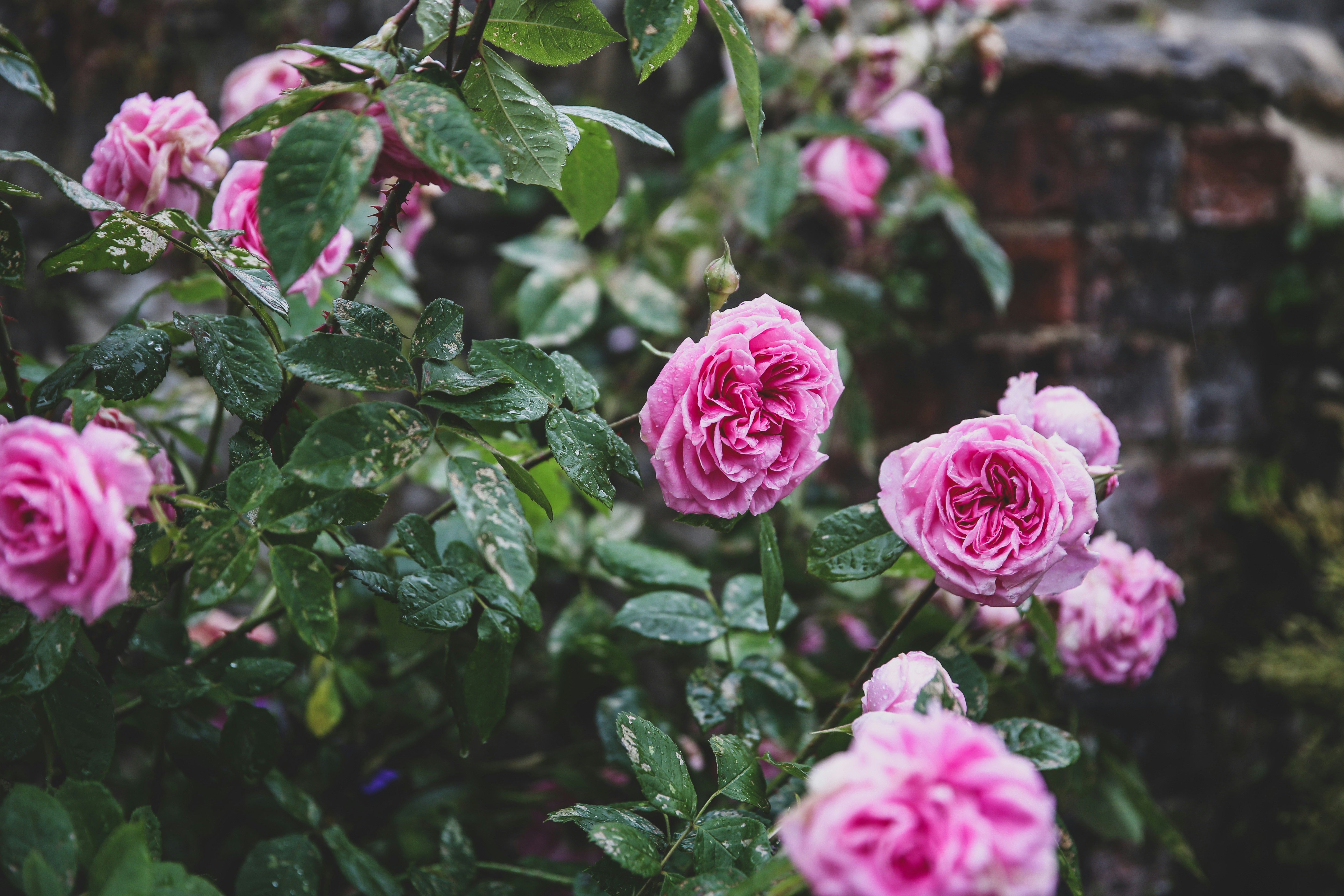 Photo by blackprojection