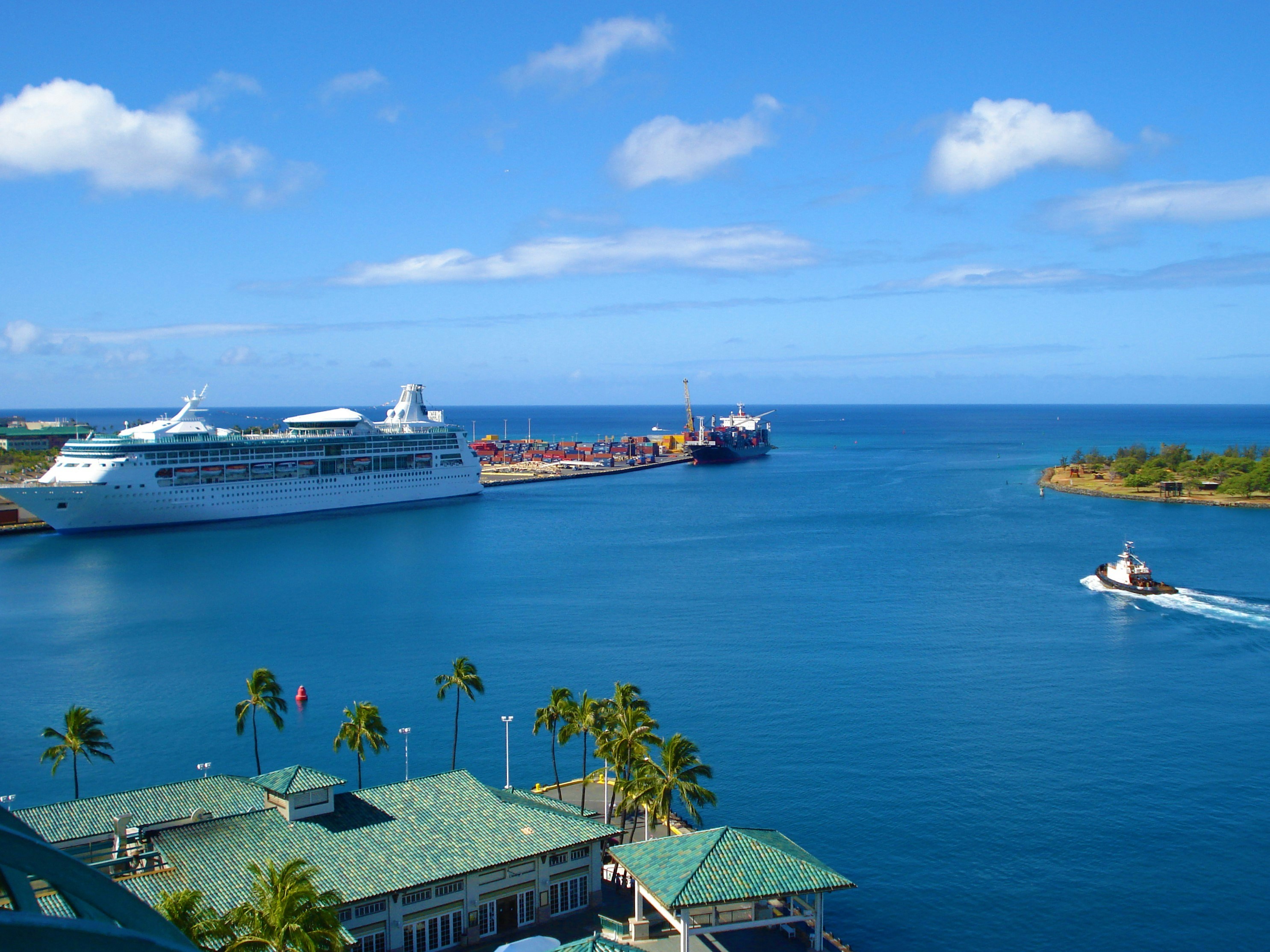white cruise ship on body of water aerial view photo