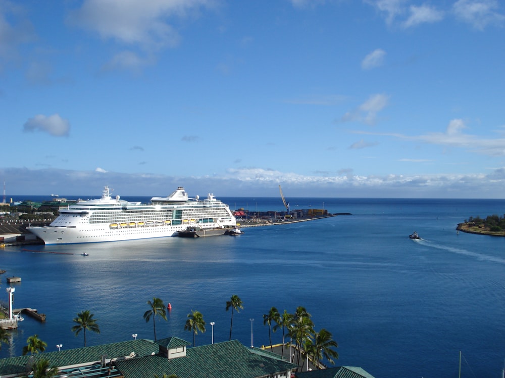 cruise ship docked near island