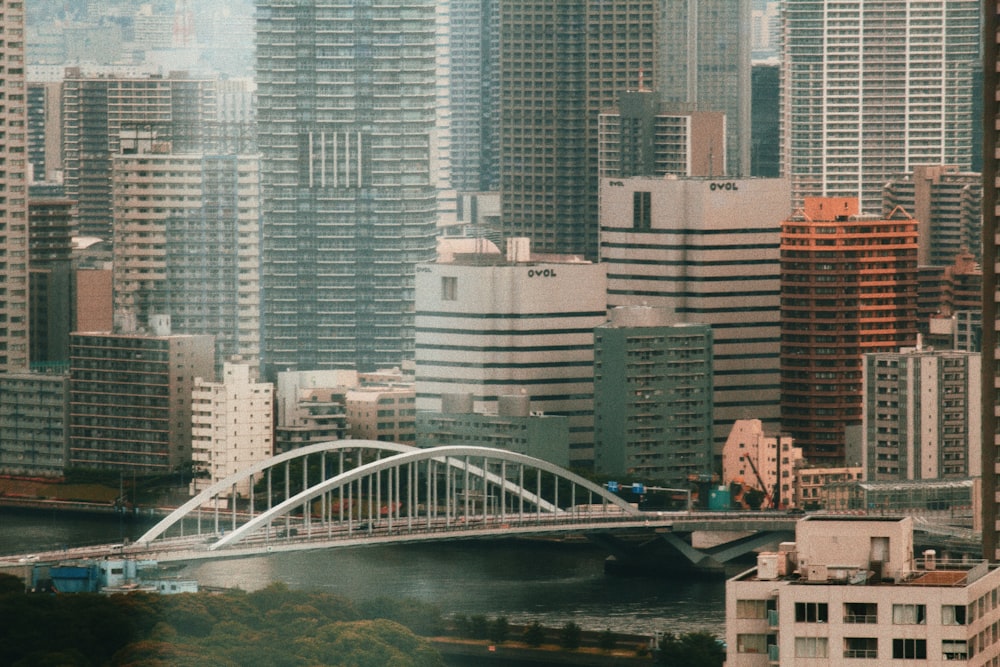 aerial photography of white bridge and city buildings