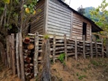 A rustic wooden structure is set on a slope, surrounded by natural vegetation. The construction features horizontal wooden planks for walls and a fence made of vertically stacked logs. The area appears to be forested, with various trees and plants nearby.