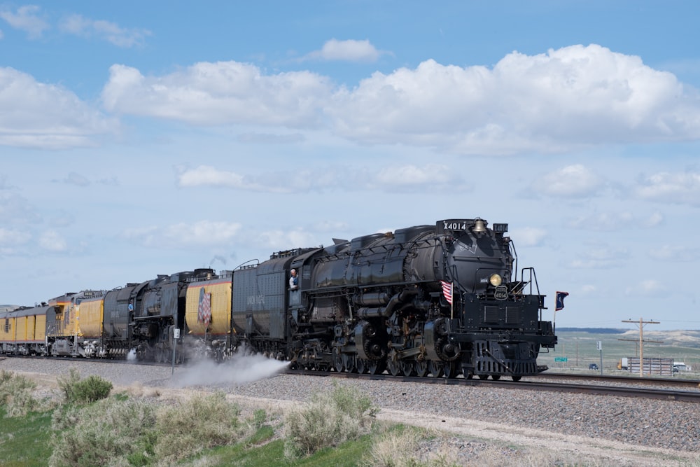 black and brown train