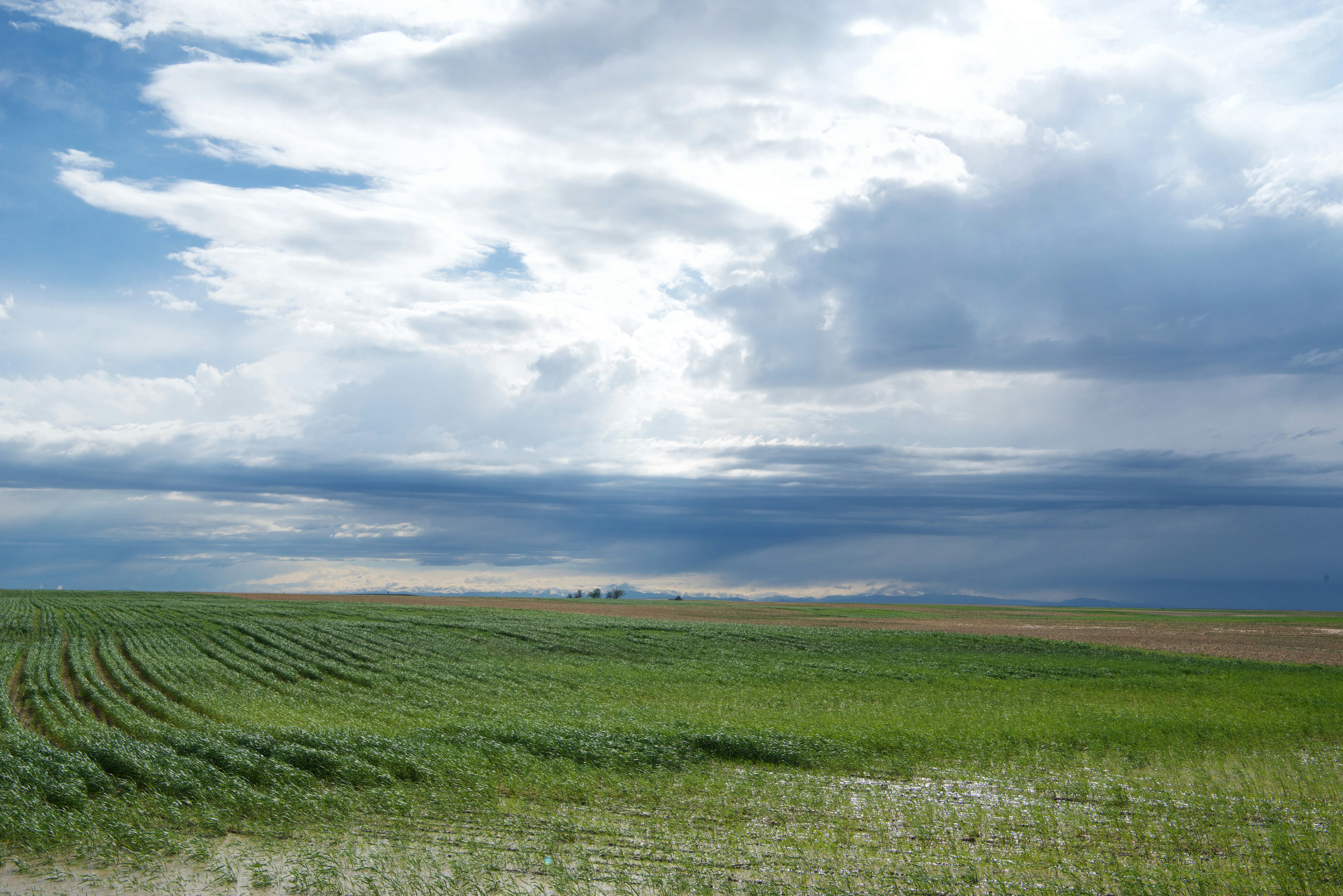 landscape photography of green grass field