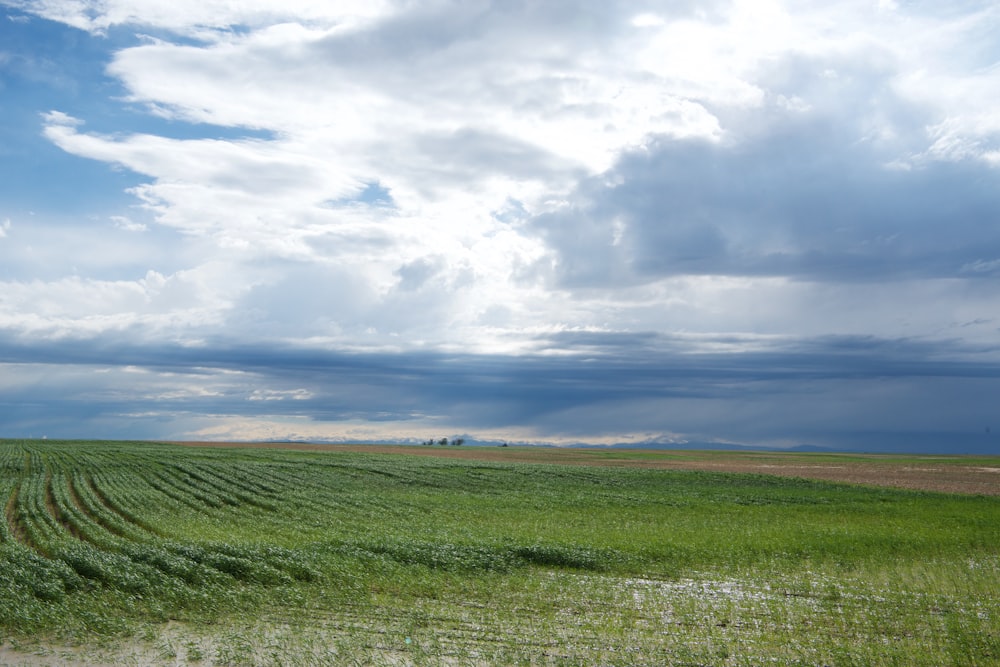 landscape photography of green grass field