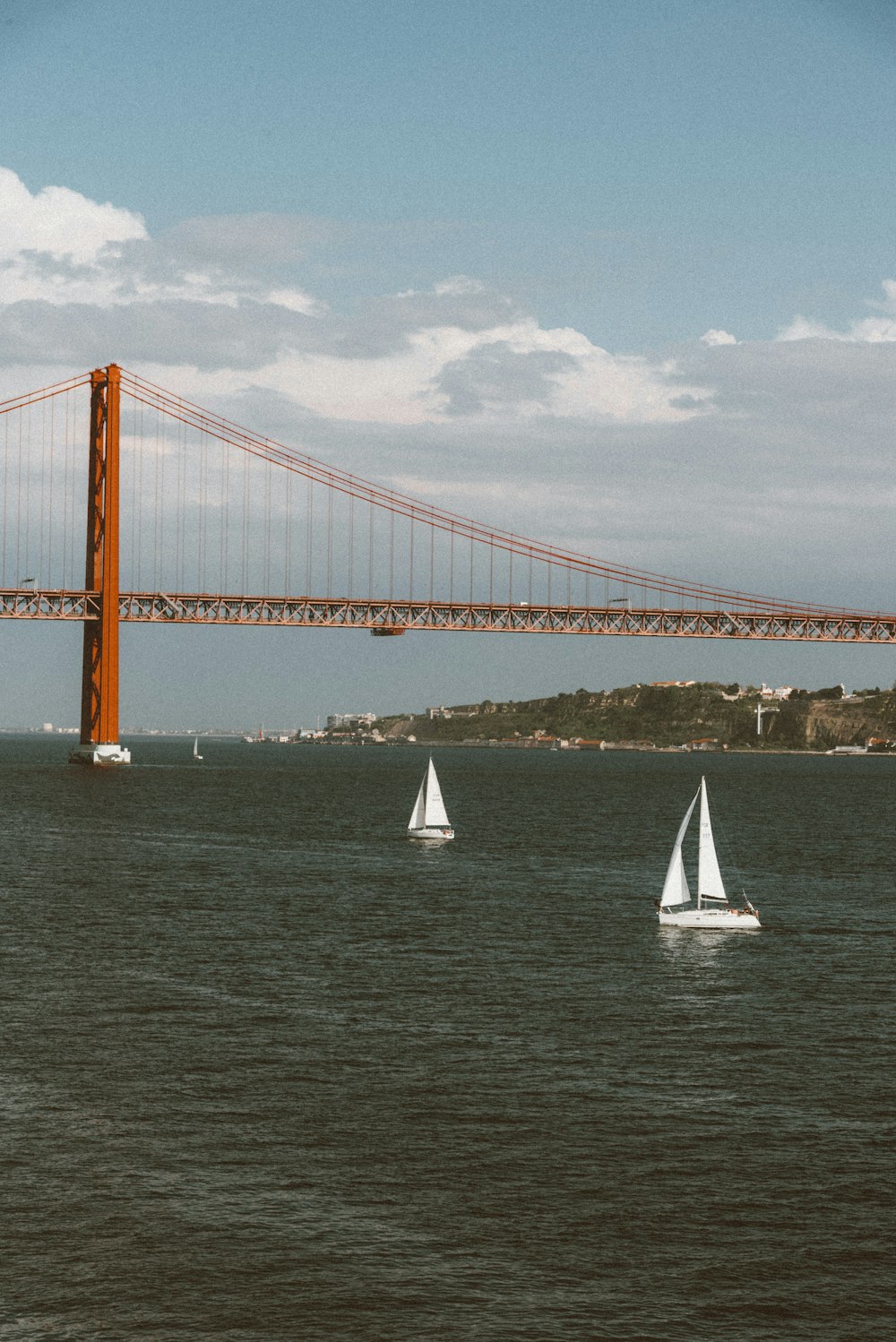 two white sailboats on body of water near bridge during daytime