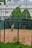 A person is playing tennis on a clay court, enclosed by a chain-link fence. The player is captured mid-motion, swinging a tennis racket. In the background, there is a large white building with classical architectural features and lush green trees.