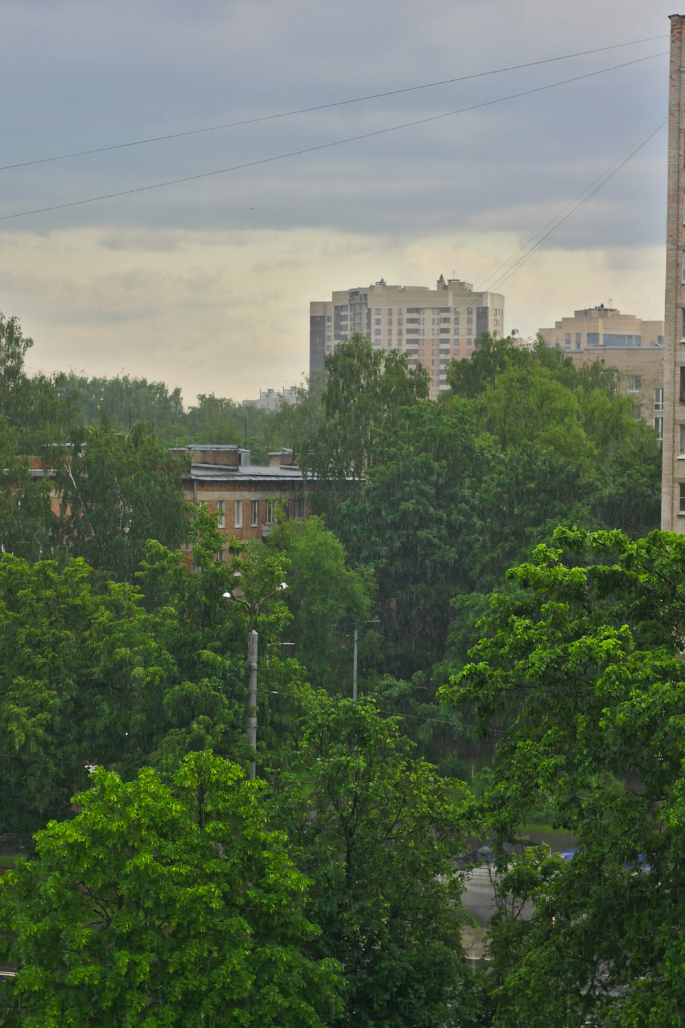 green trees beside concrete structures