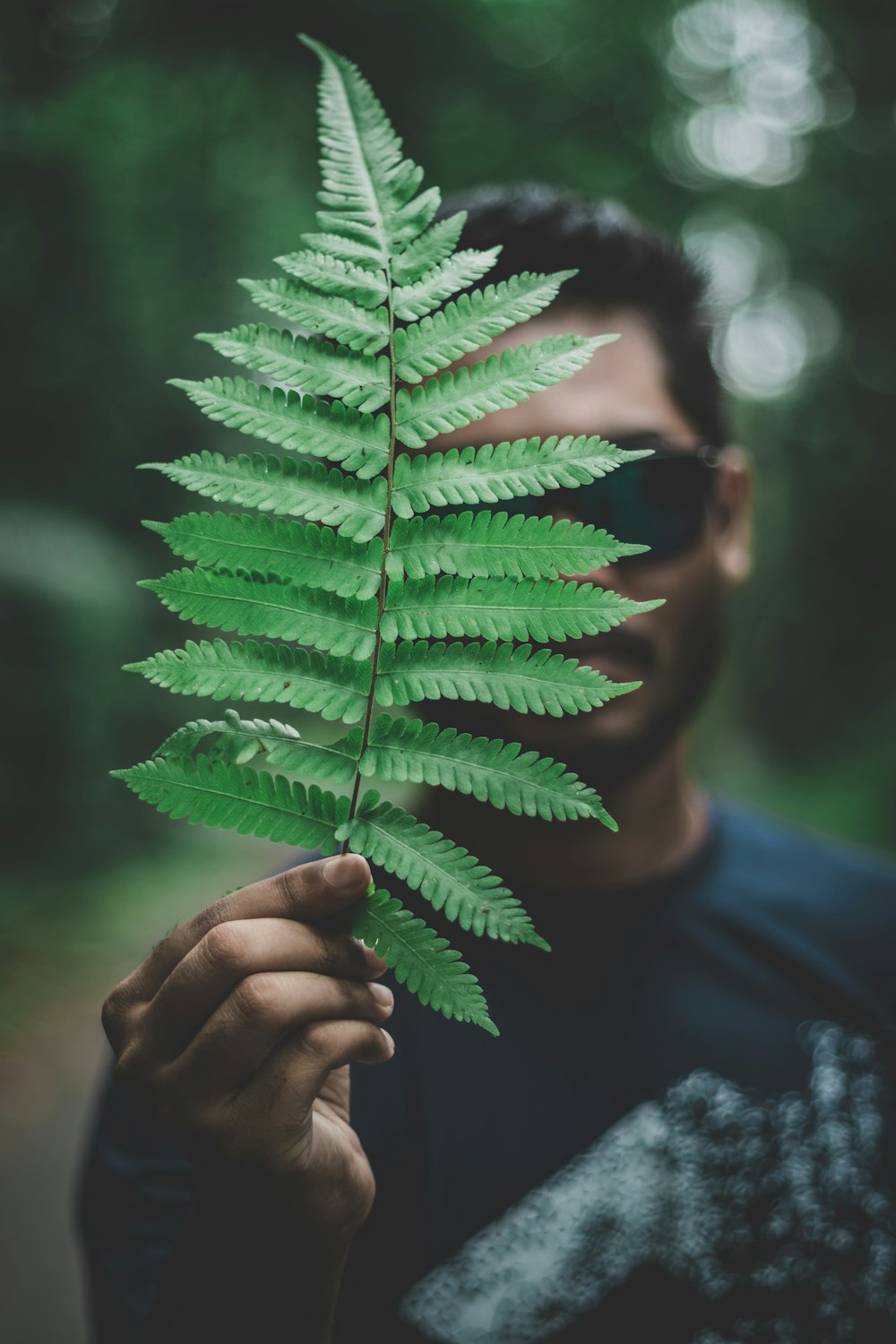 man holding green fern