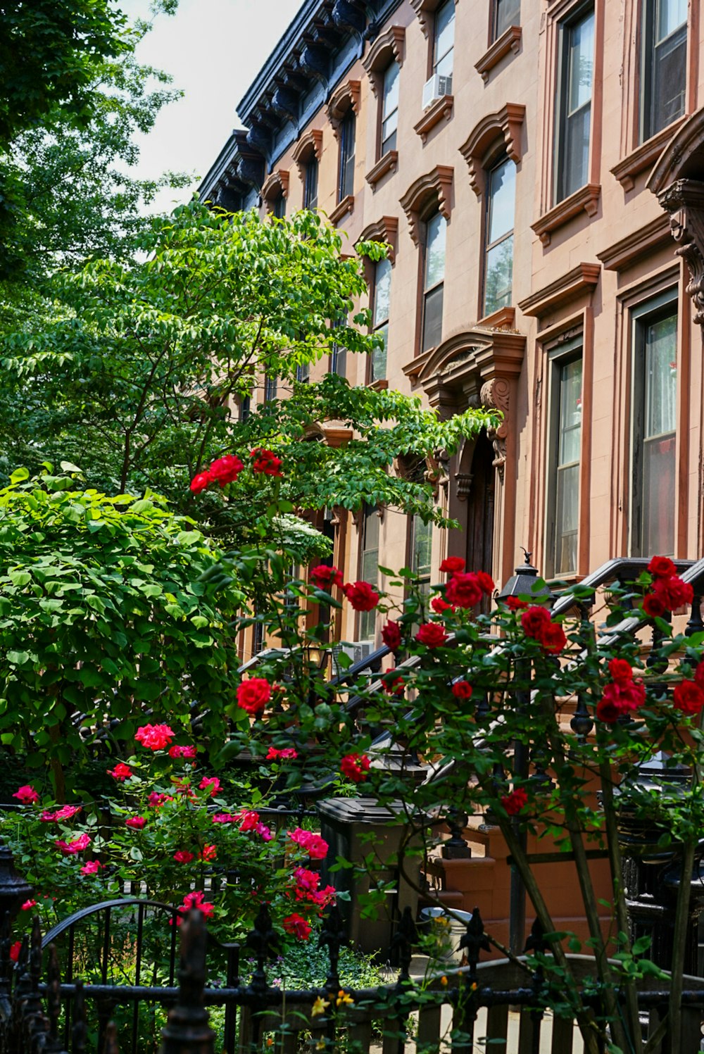 red flowers near building