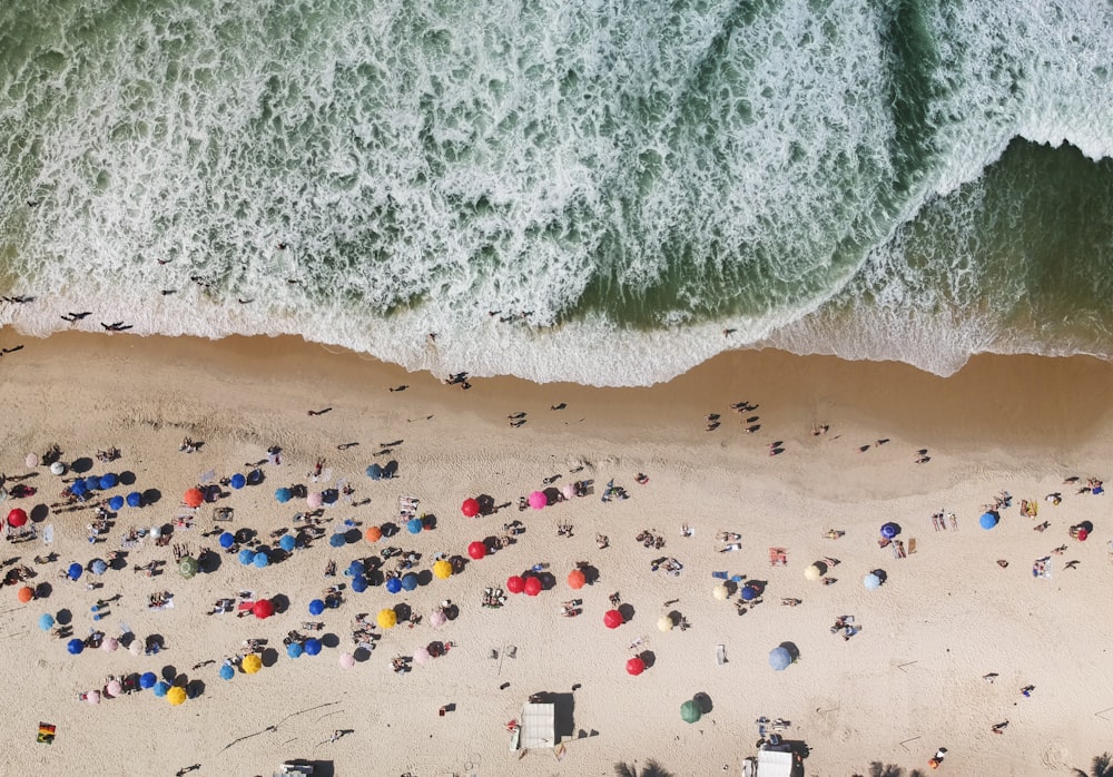 foto aerea di persone sulla spiaggia