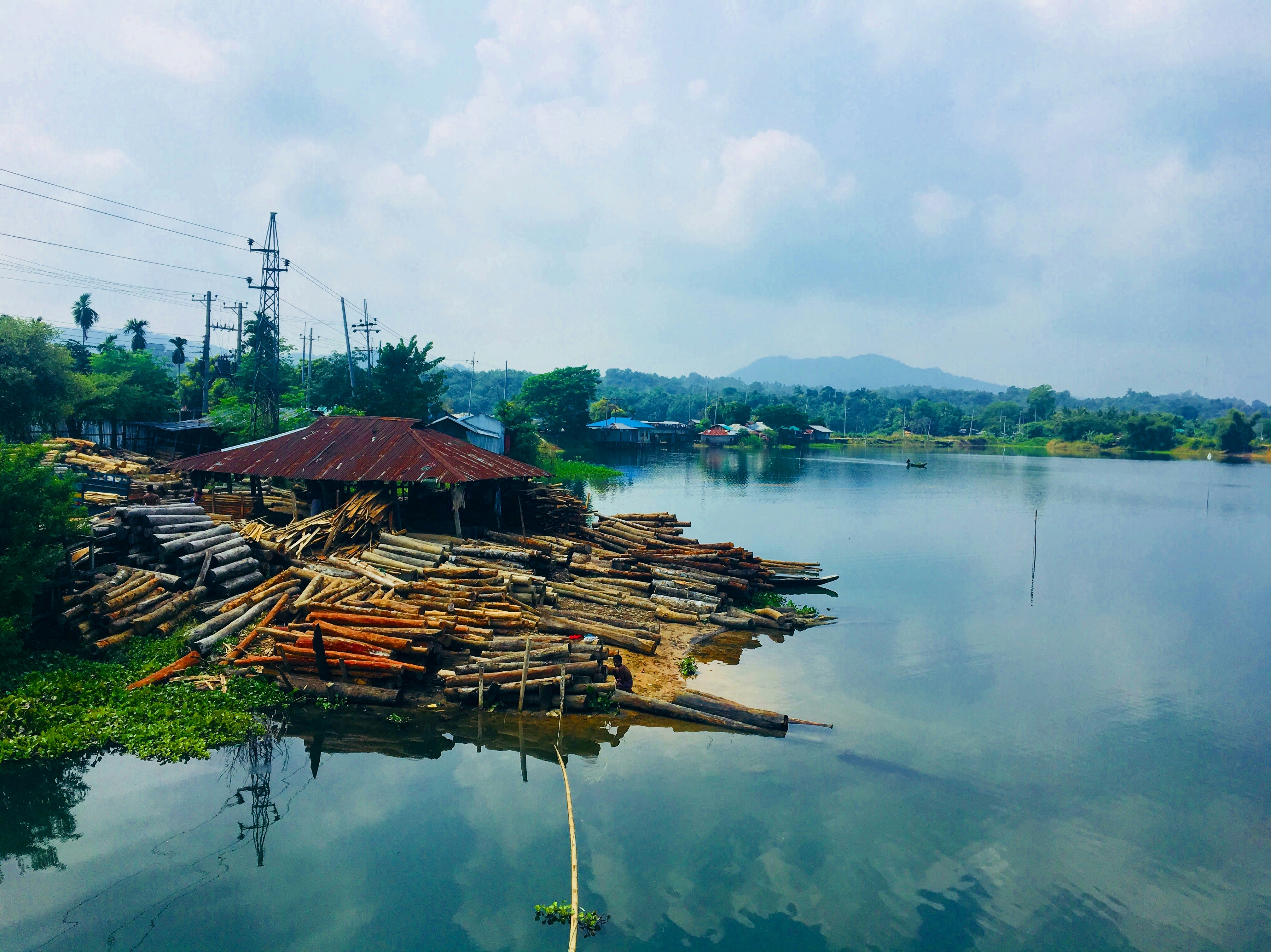 kayu gelondongan yang ditumpuk di tepi danau