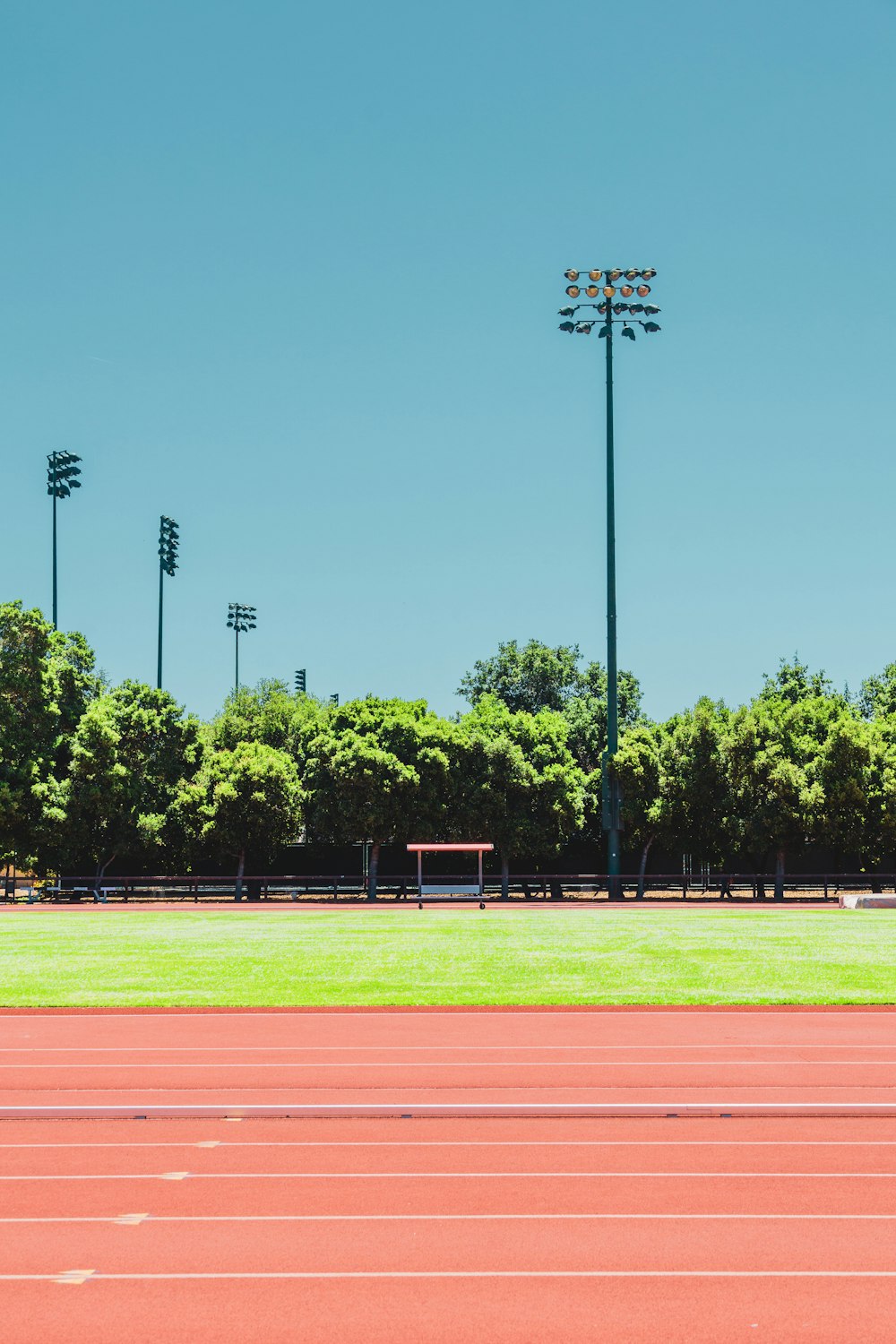 brown and green track field during daytime