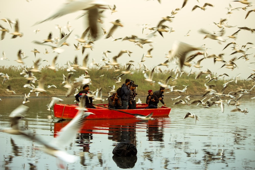 group of people riding boat surrounded by flock of birds