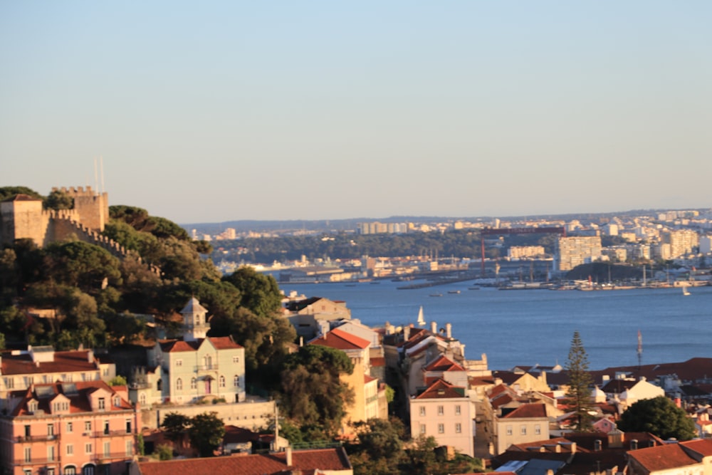 white and brown buildings in hill near bay