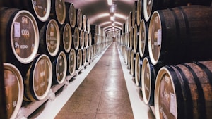 brown wooden barrel lot