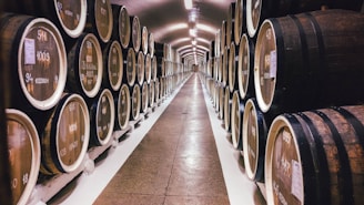 brown wooden barrel lot