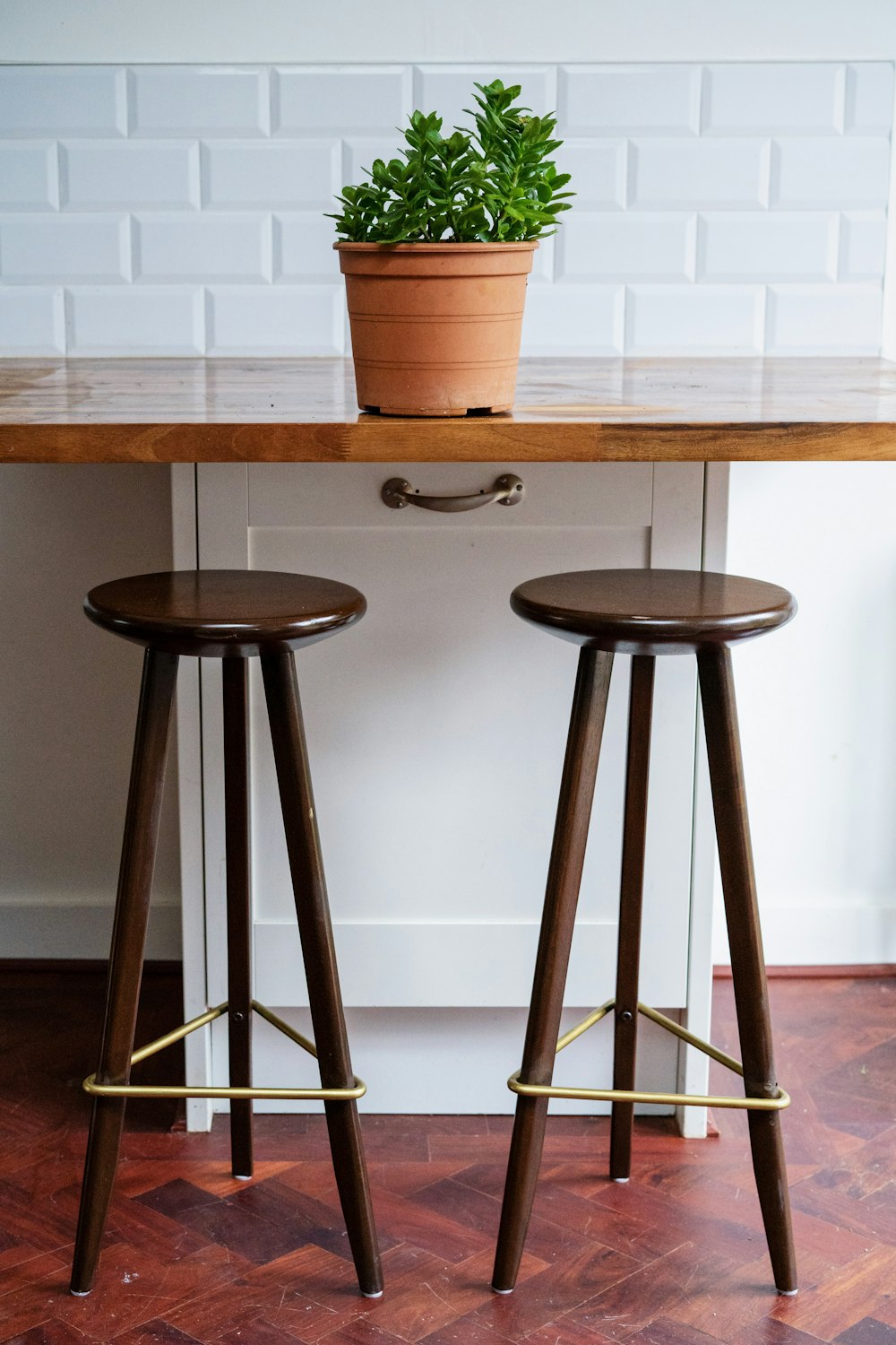 green leafy potted plant on table