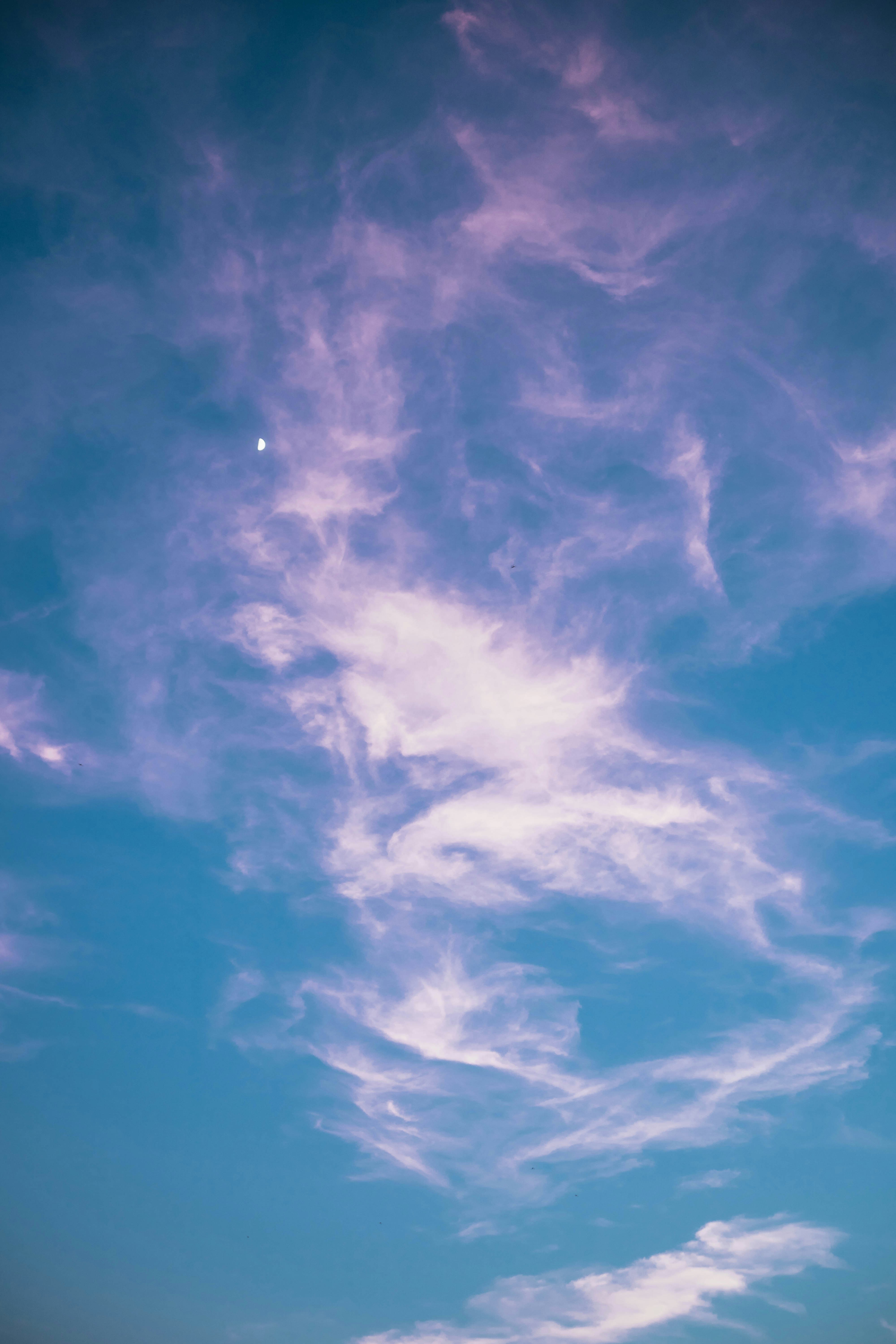 ピンクの空の写真 Unsplashで見つけるコペンハーゲンの無料写真