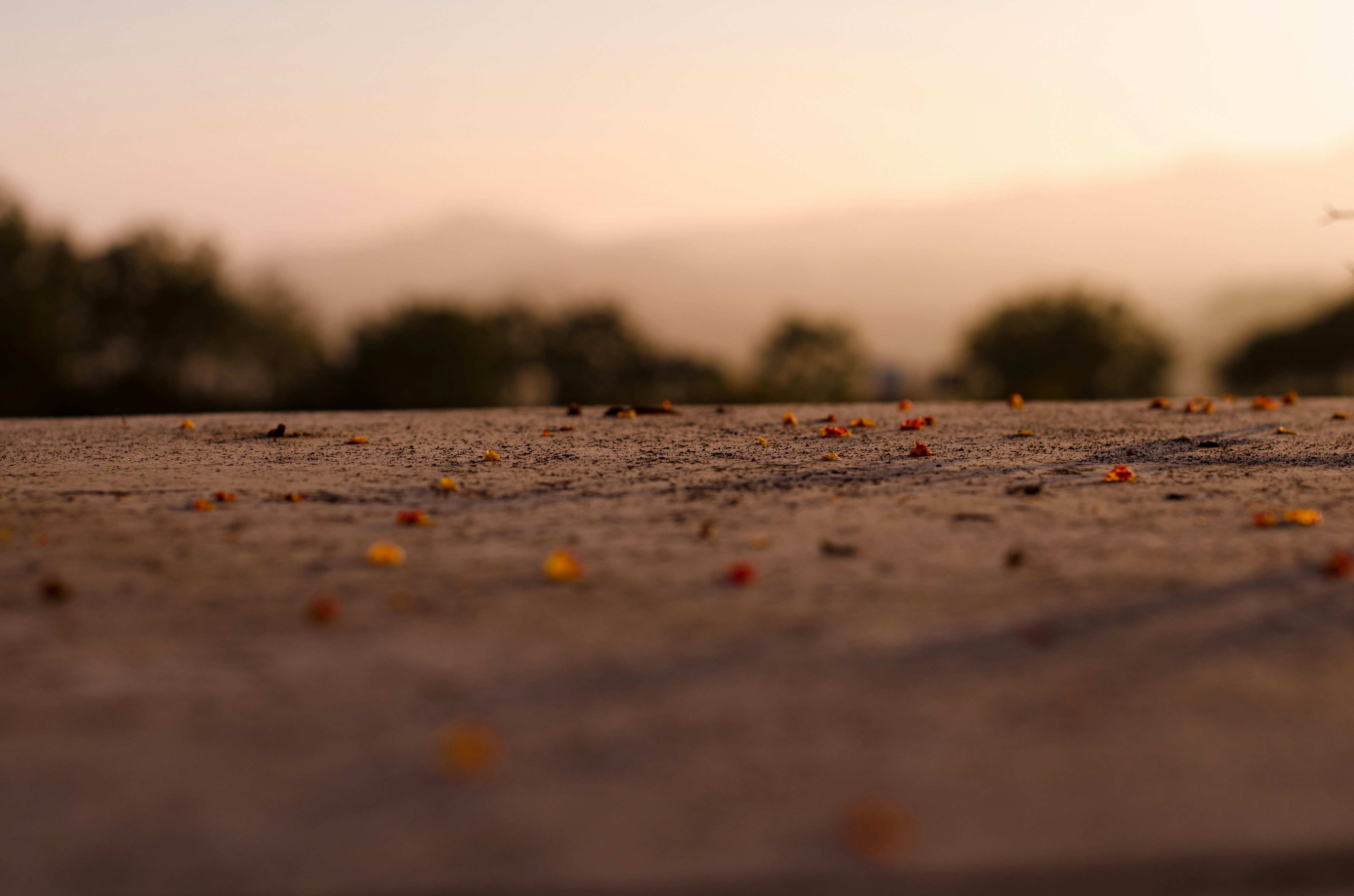 golden hour landscape, wallpaper, Natural Light Photography: Morning Shots 5