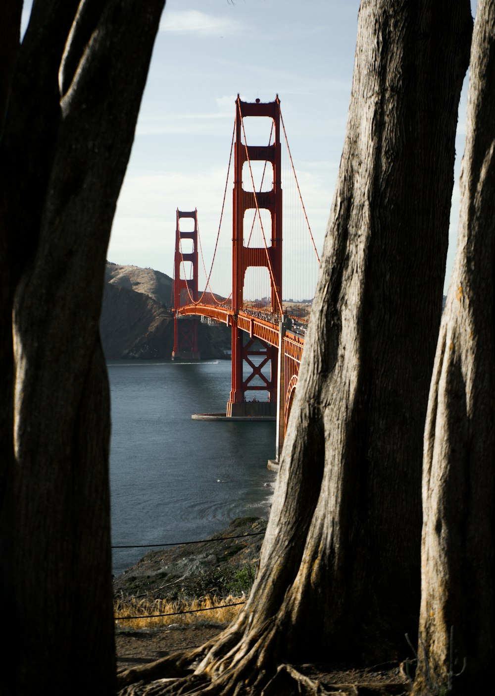 concrete bridge during daytime