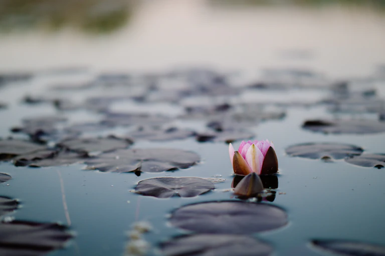 How Long Should You Meditate Each Day?