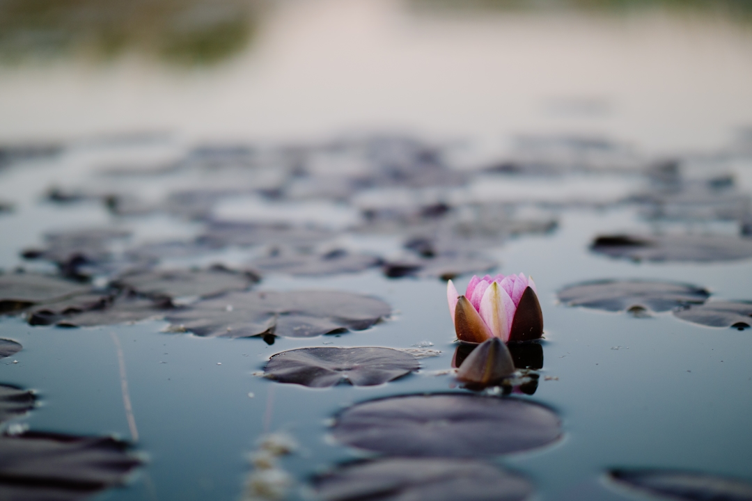 meditation, mindfulness, anchor meditation, inner peace, calm, stress relief, mental wellness, personal growth, spiritual healing, meditation techniqu