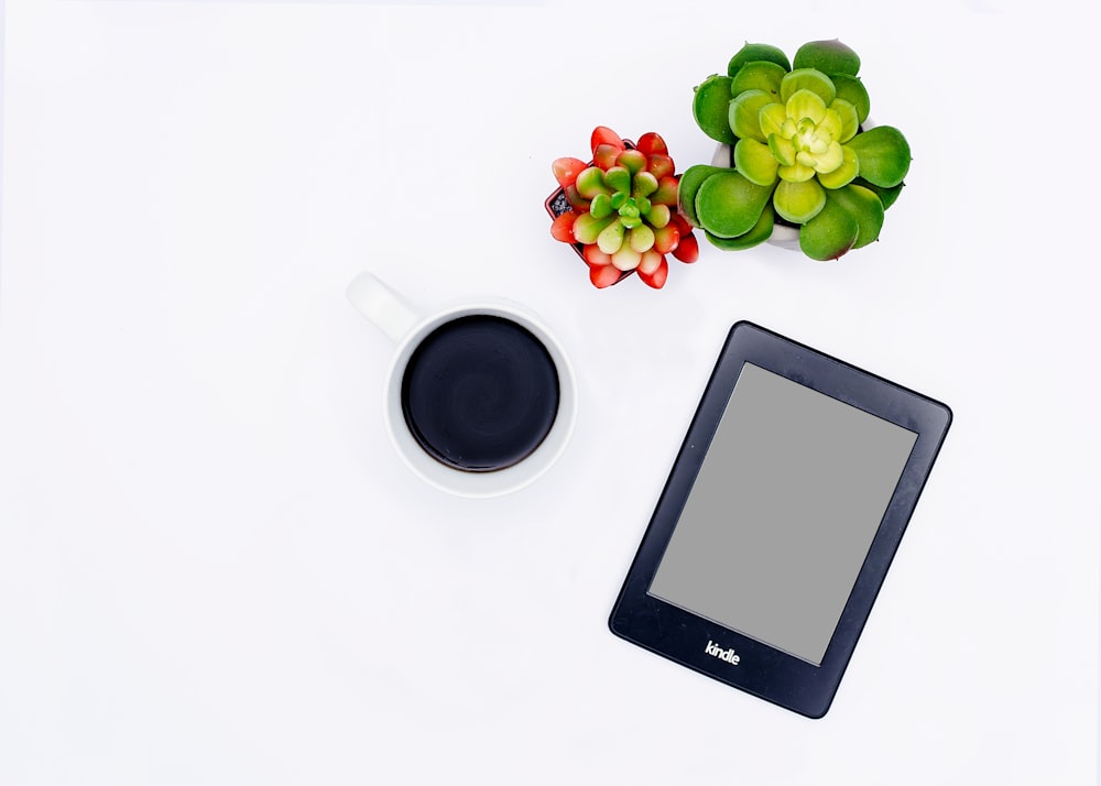 flatlay photo of coffee mug, Amazon Kindle e-reader, and succulent