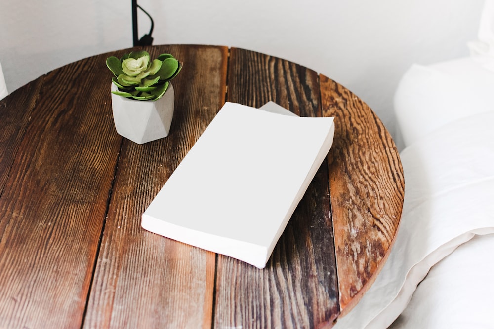 white papers and green succulent plant