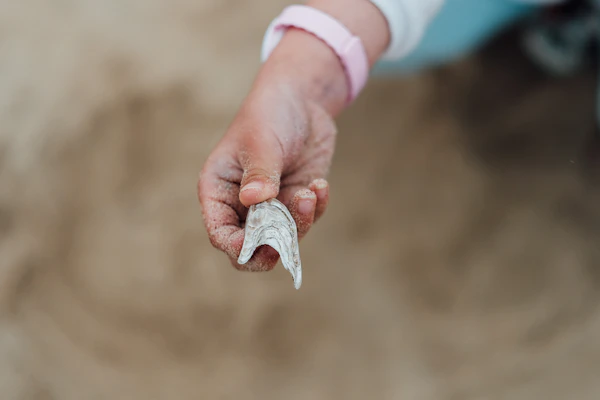 A youthful hand holding a small seashell bracelet with a bright blue ocean vista in the distance