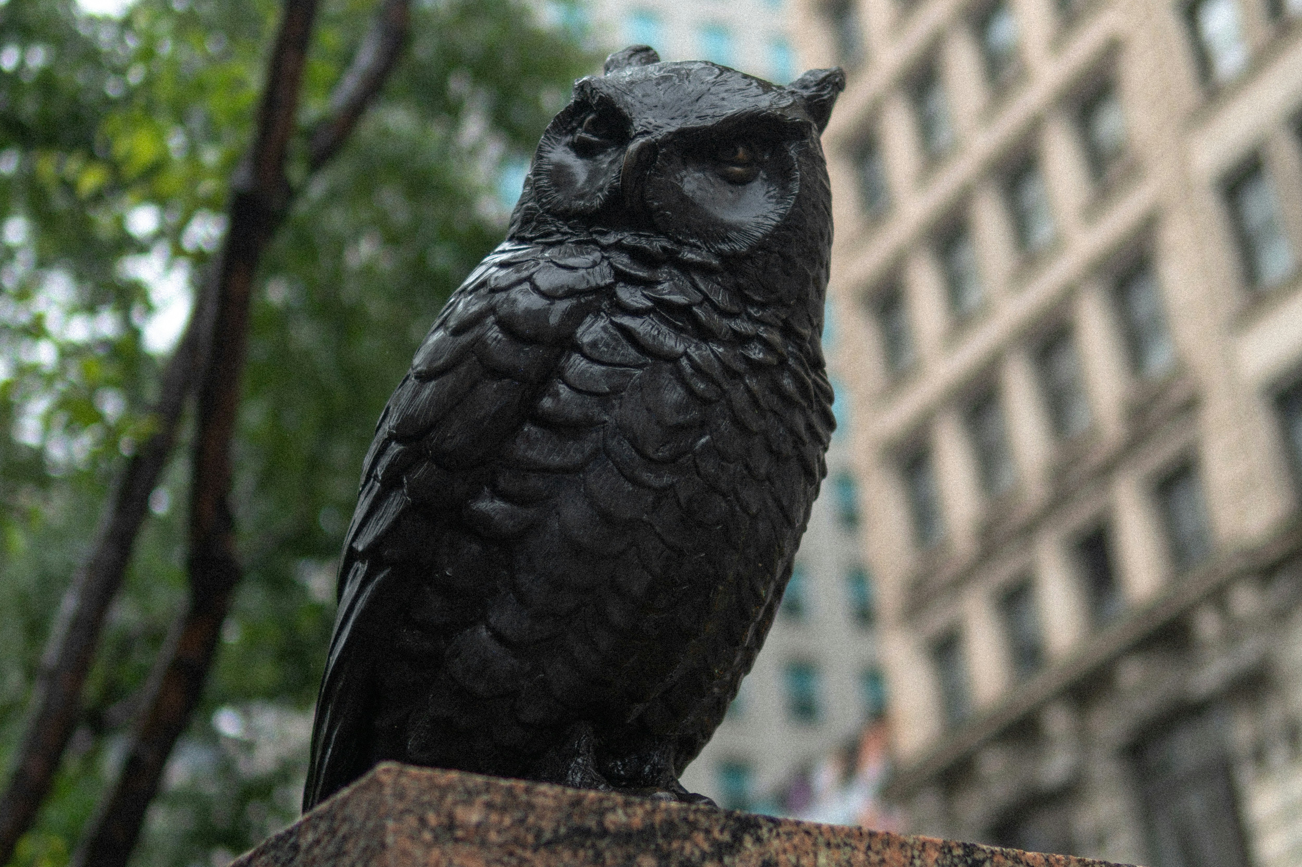 Rustic Metal Owl Light