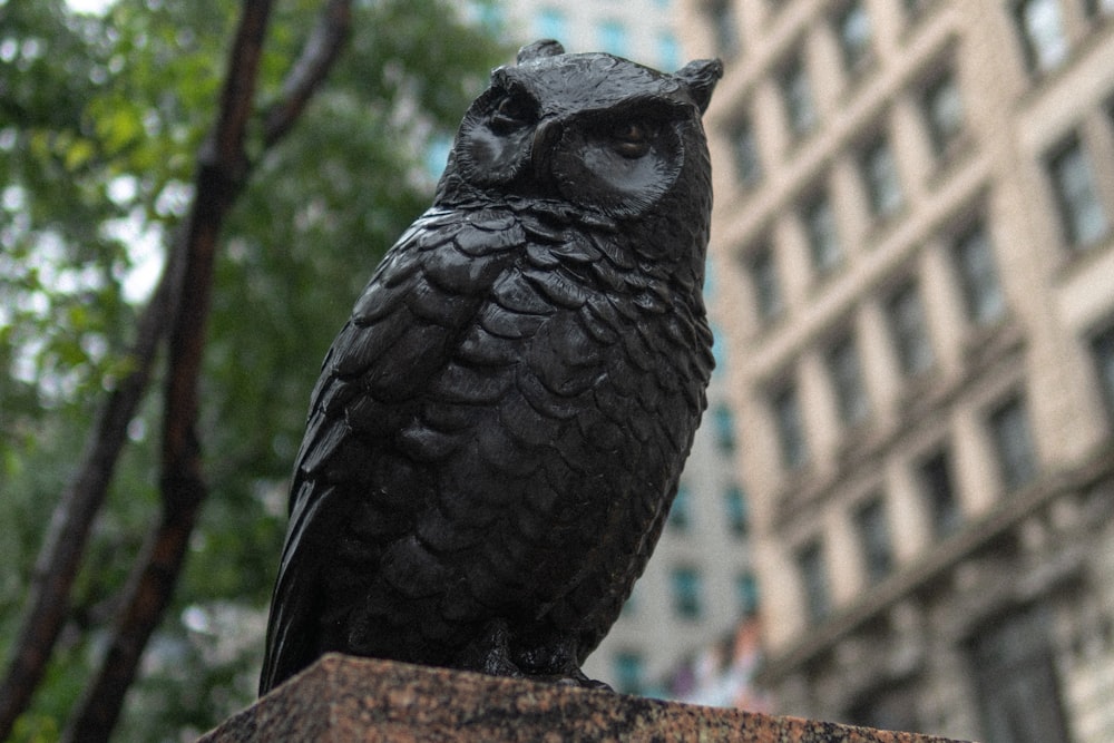 gray owl statuette