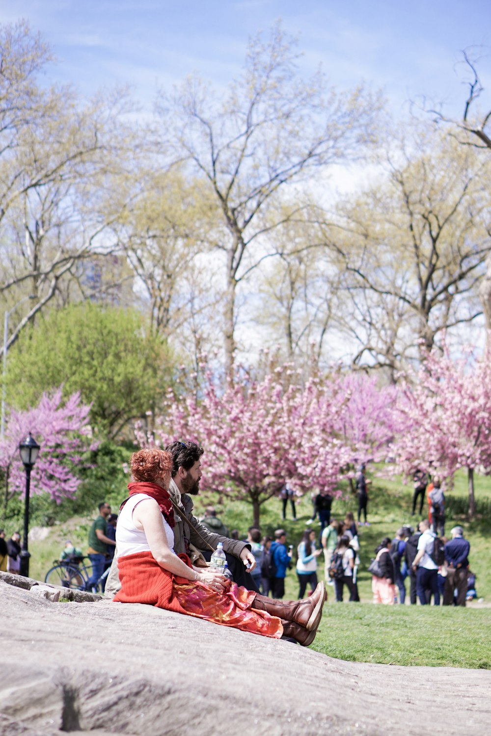 people standing and sitting near trees during daytime