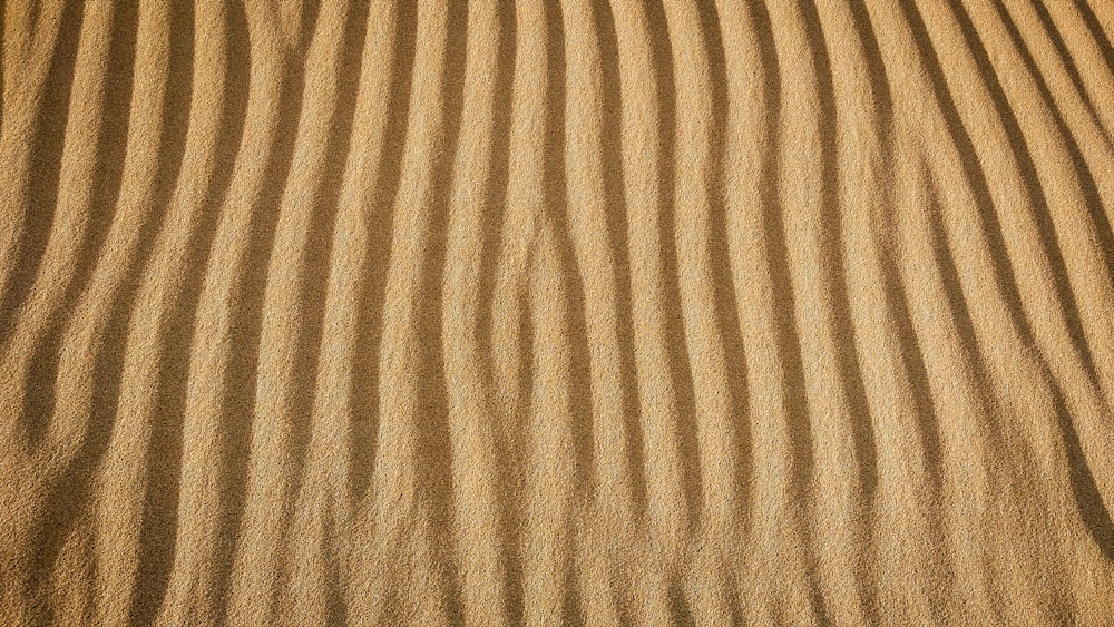 a close up of a sand dune with wavy lines