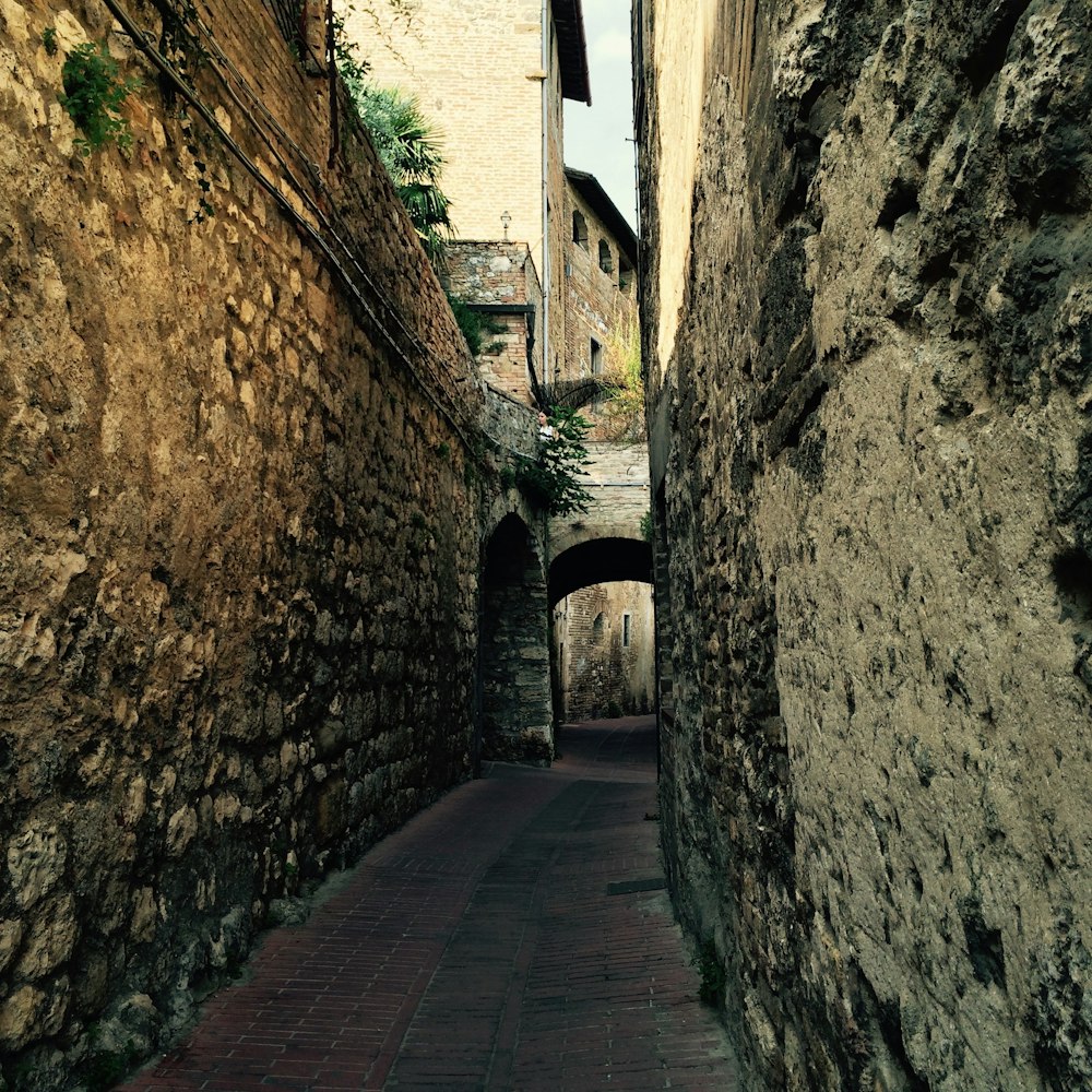 Foto de paisaje de callejón de ladrillos rojos