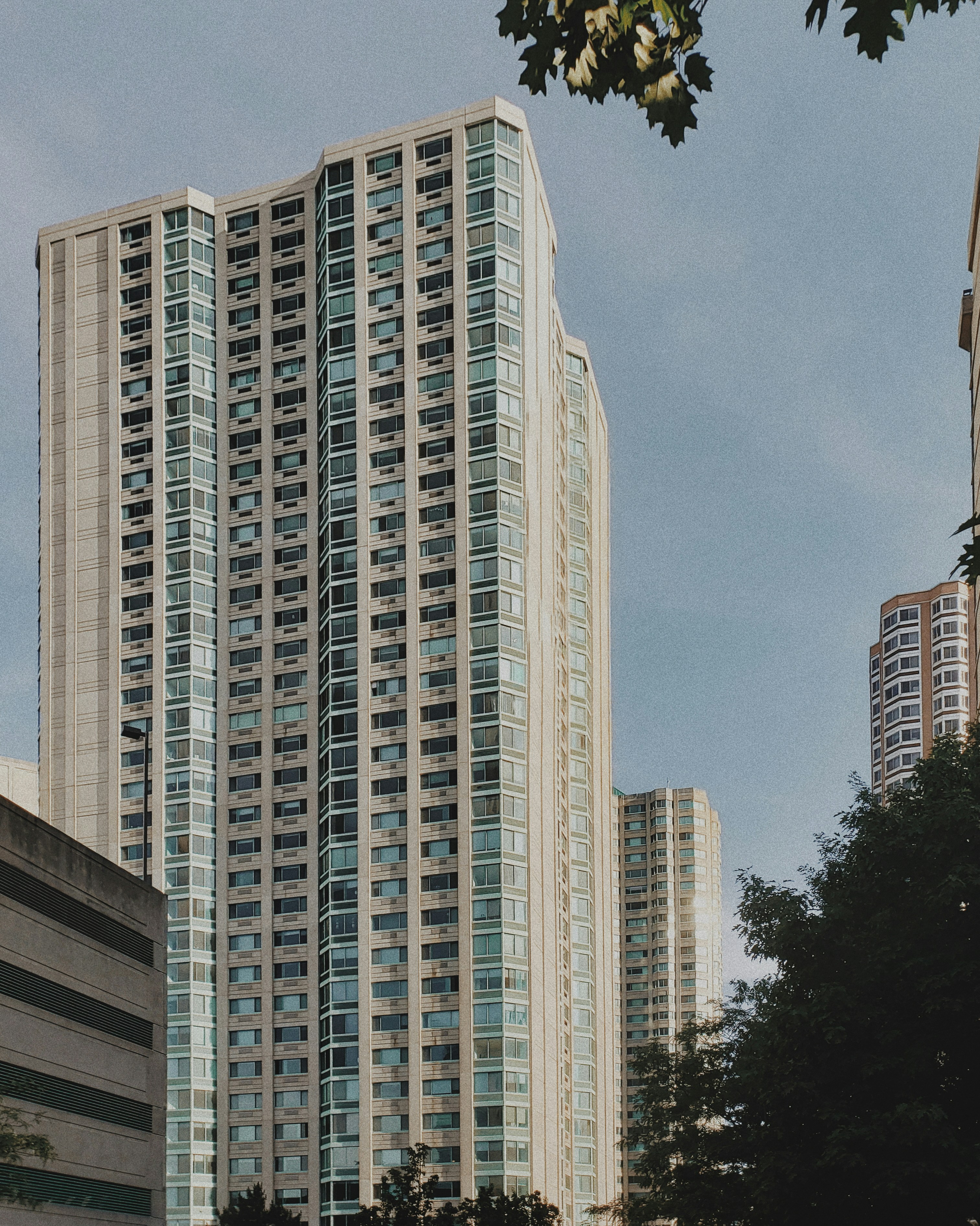 Photo by josenothose