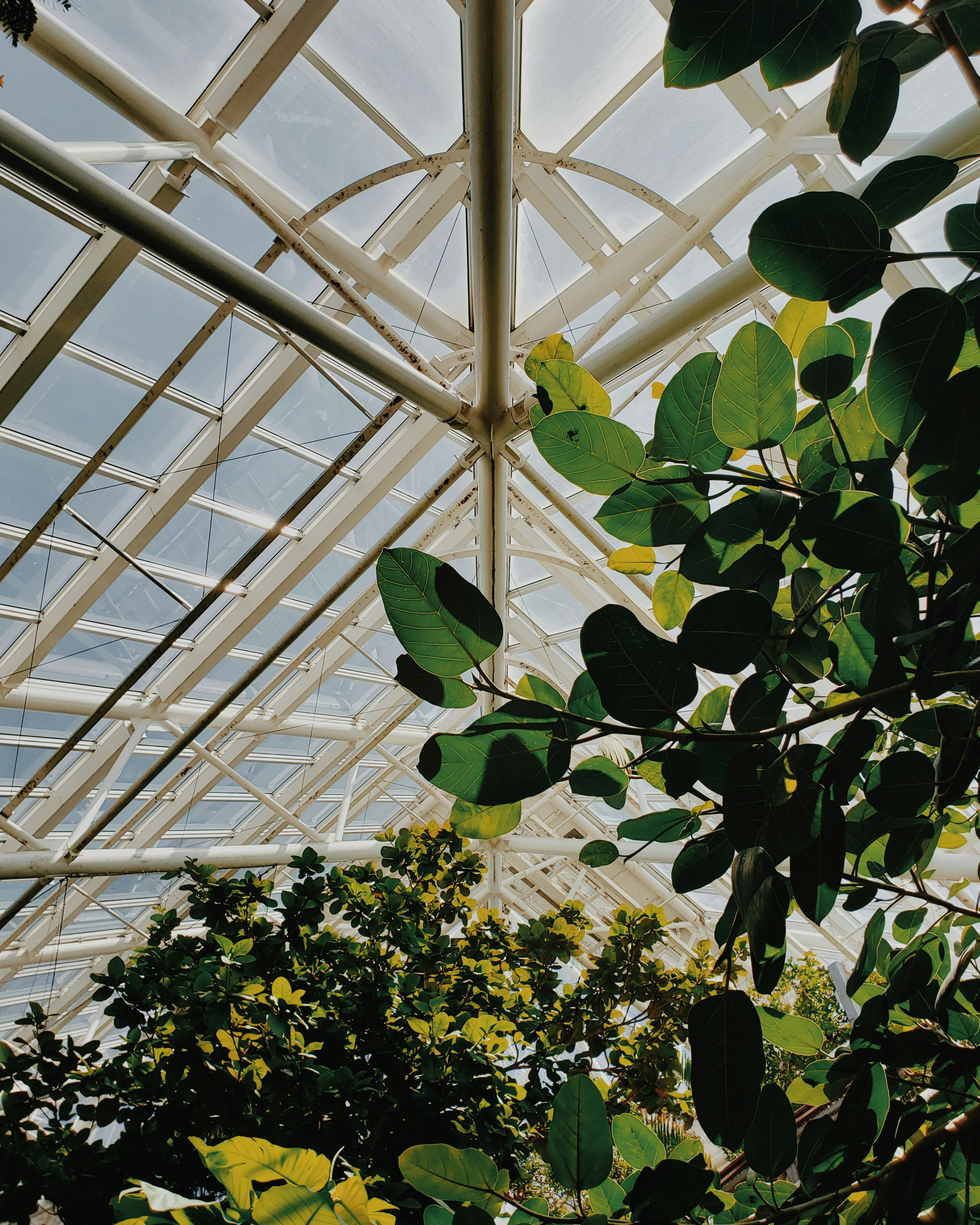 Photo by josenothose