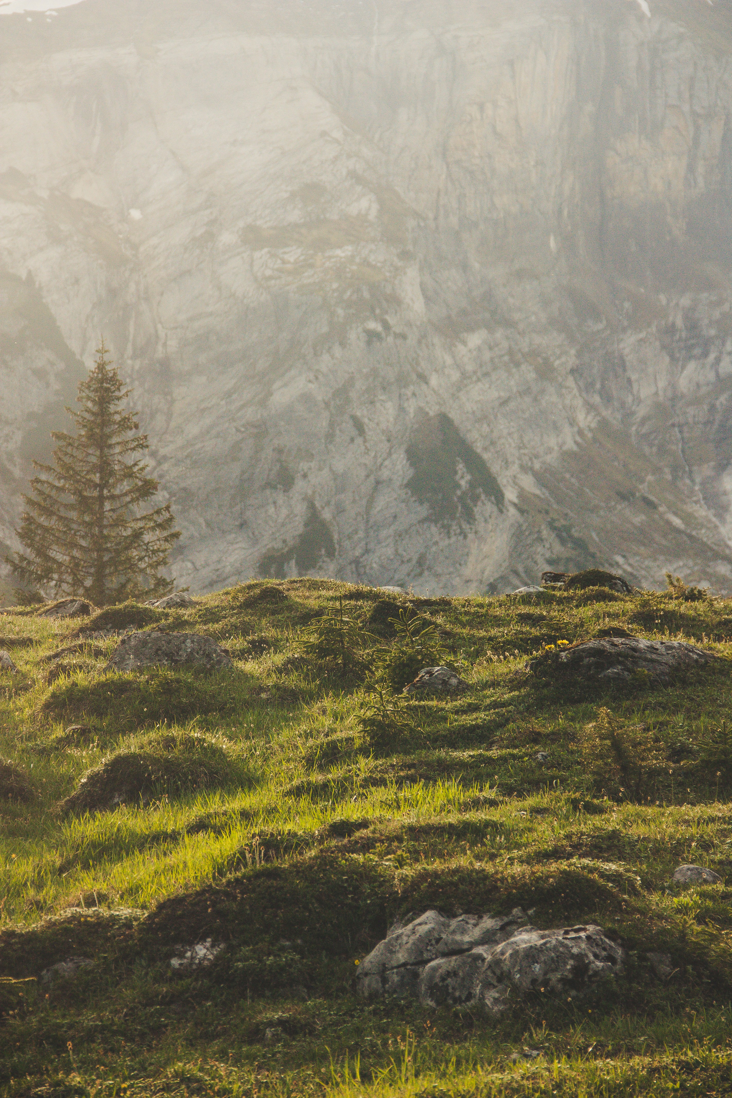 Photo by theverticalstory