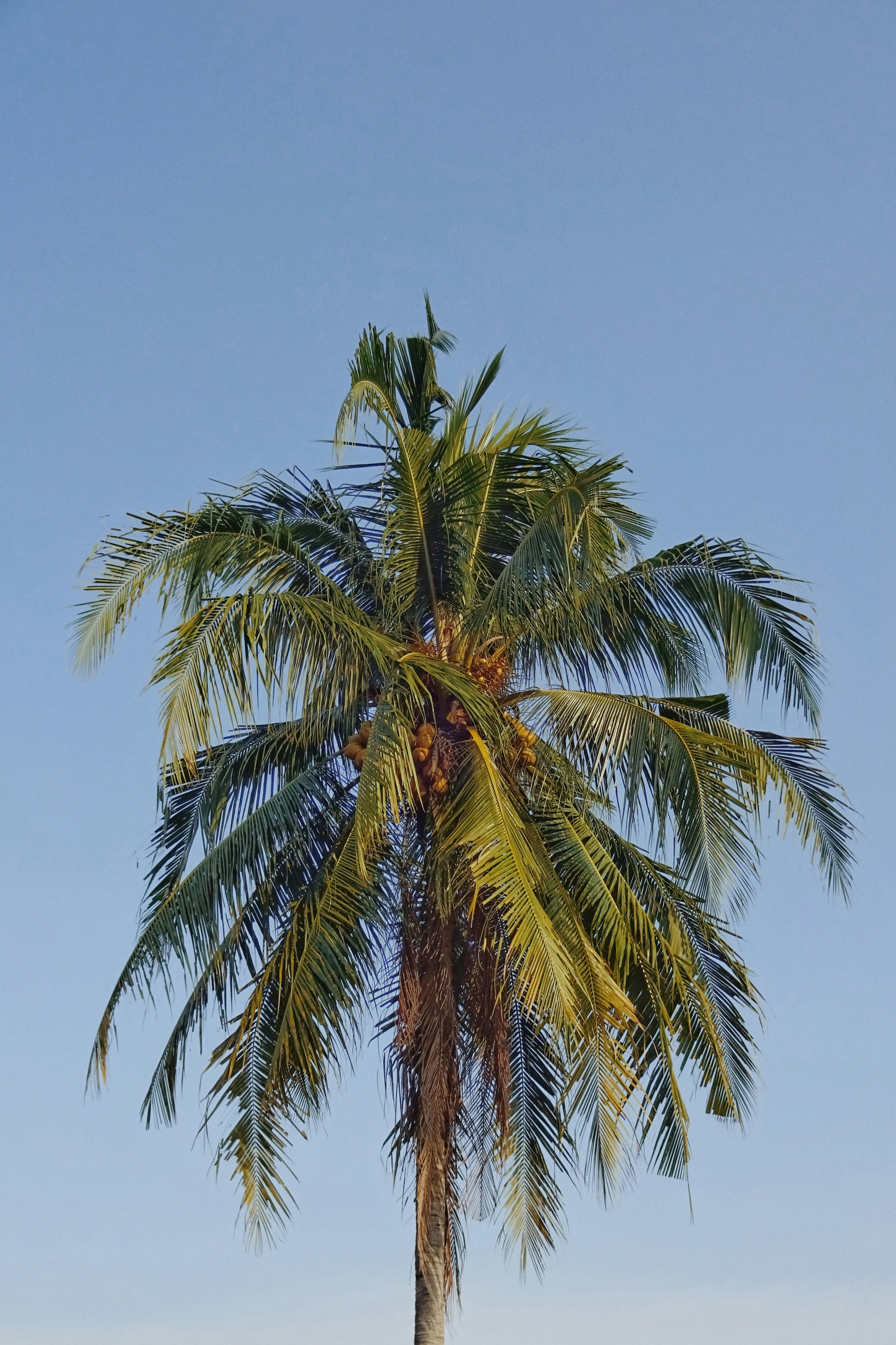 Photo by lightenshot