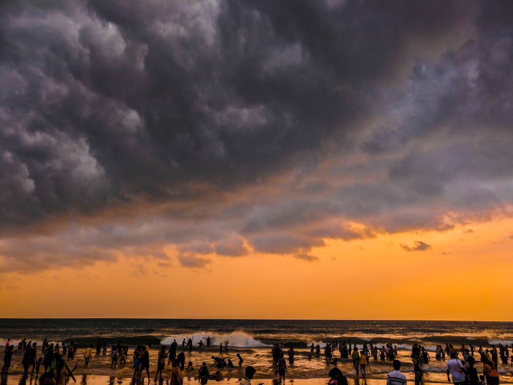 group of people on shore