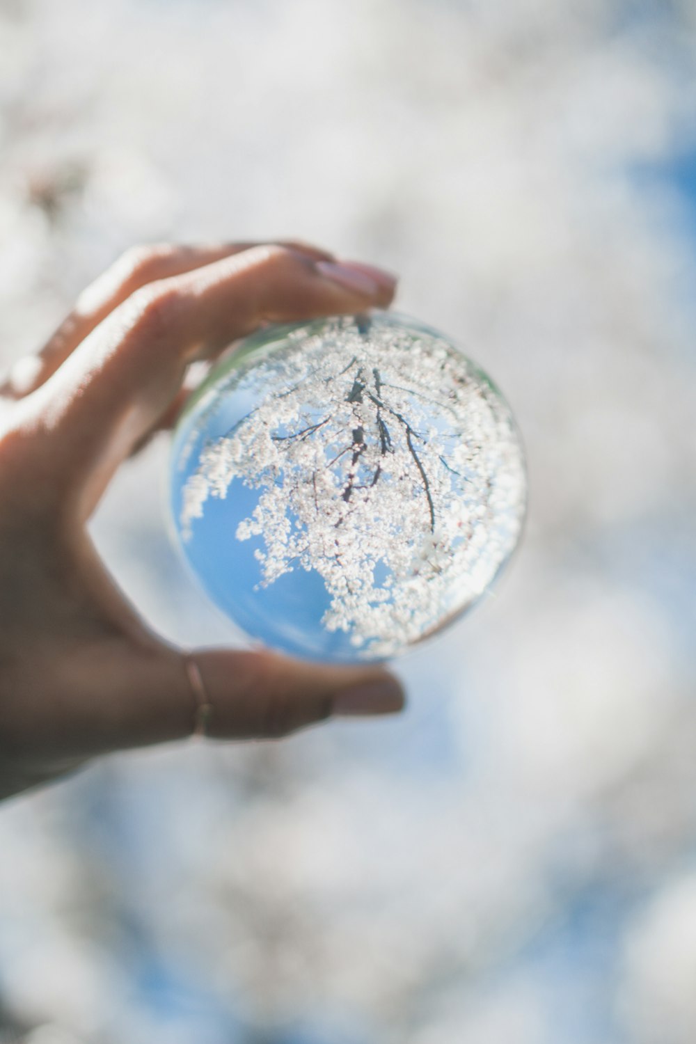 clear glass globe