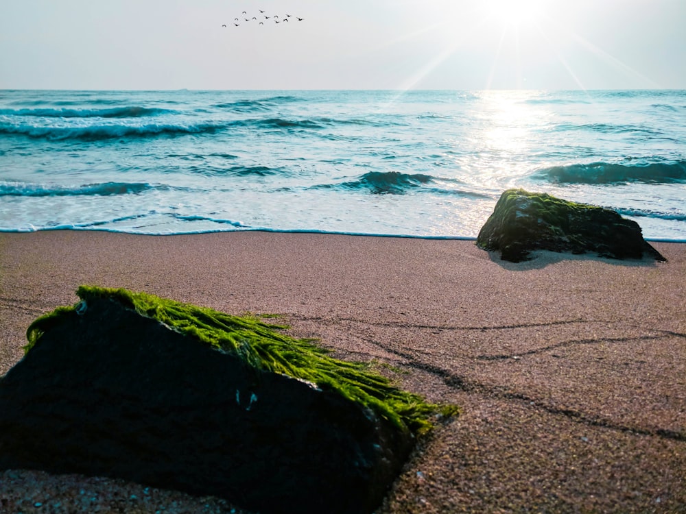 green rock near seashore during daytime