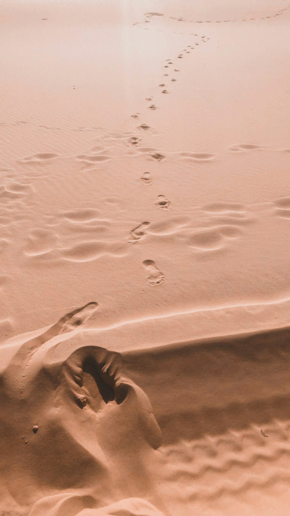 footprints in the sands