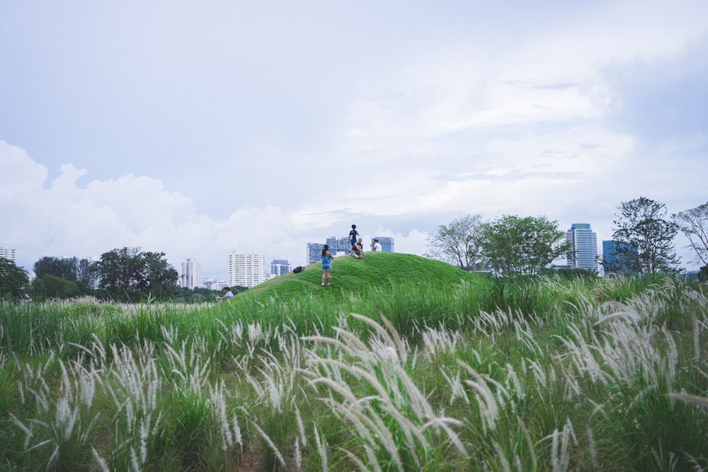 a couple of people standing on top of a lush green hillside