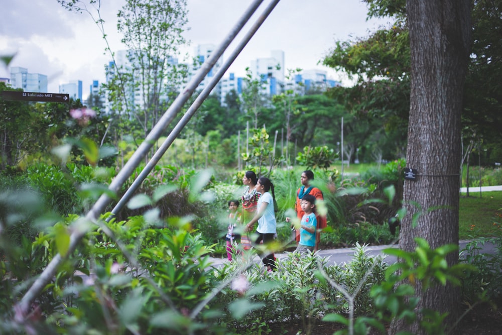 five children walking on road surrounded with tall and green trees