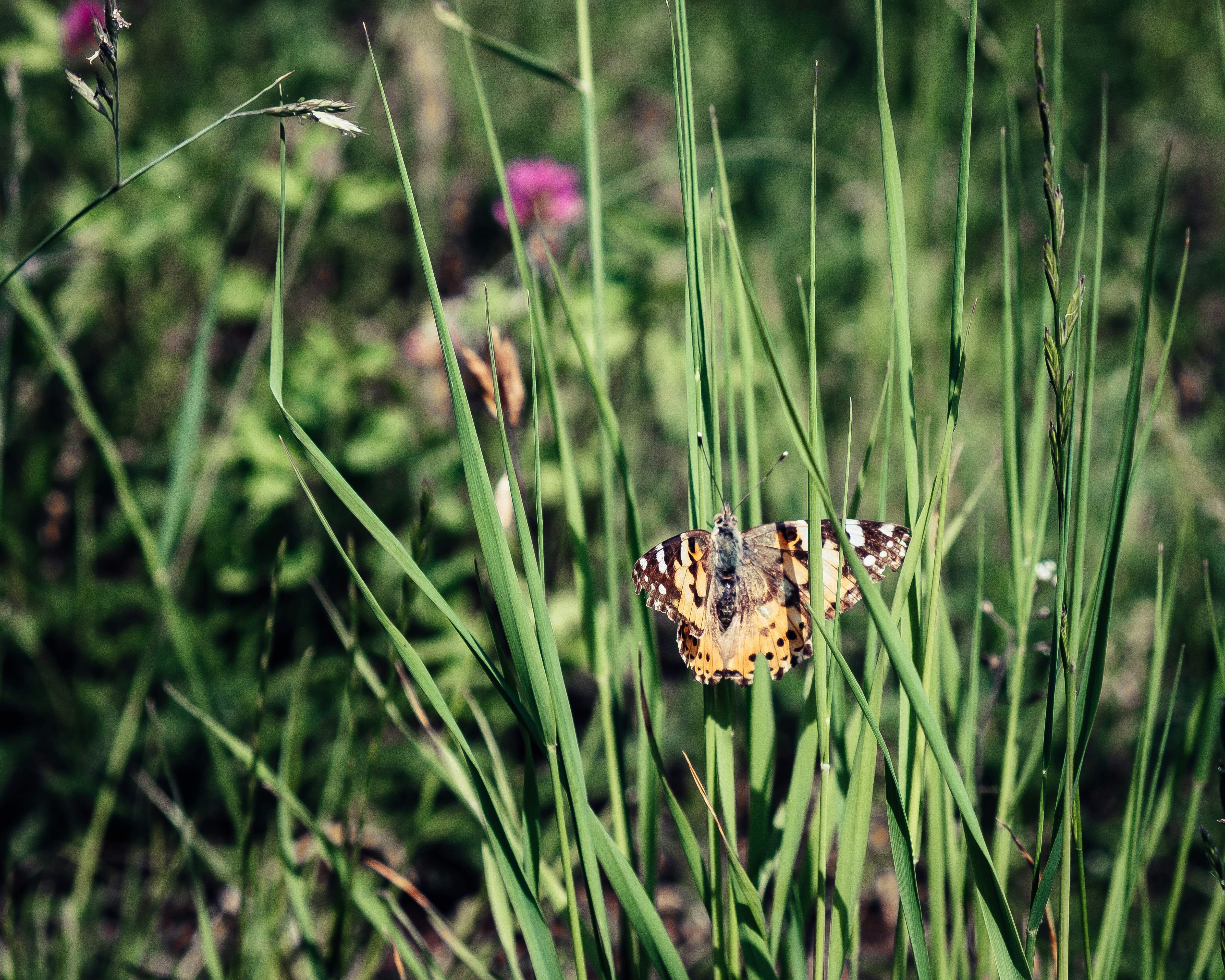 Photo by moritz_photography