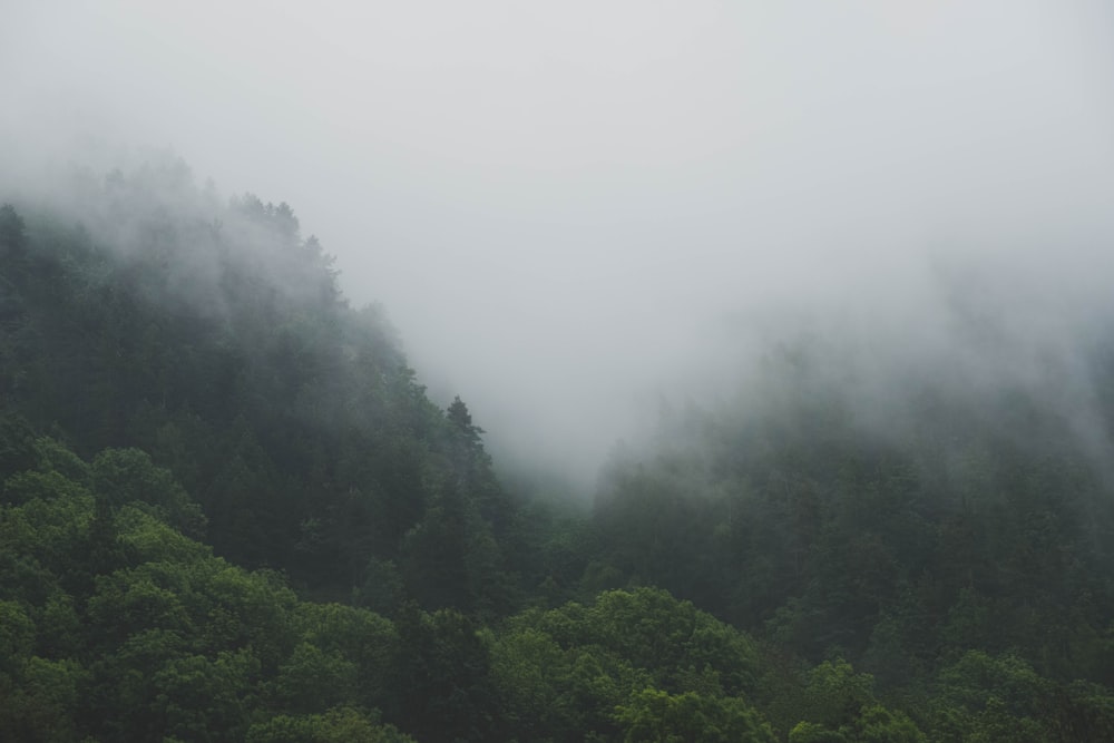 fogs forming at the mountains